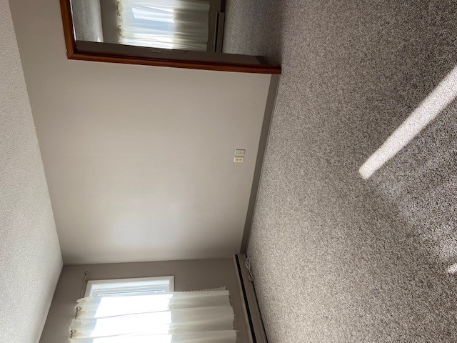 1314 College DR 1 Bedroom full Suite to Rent 